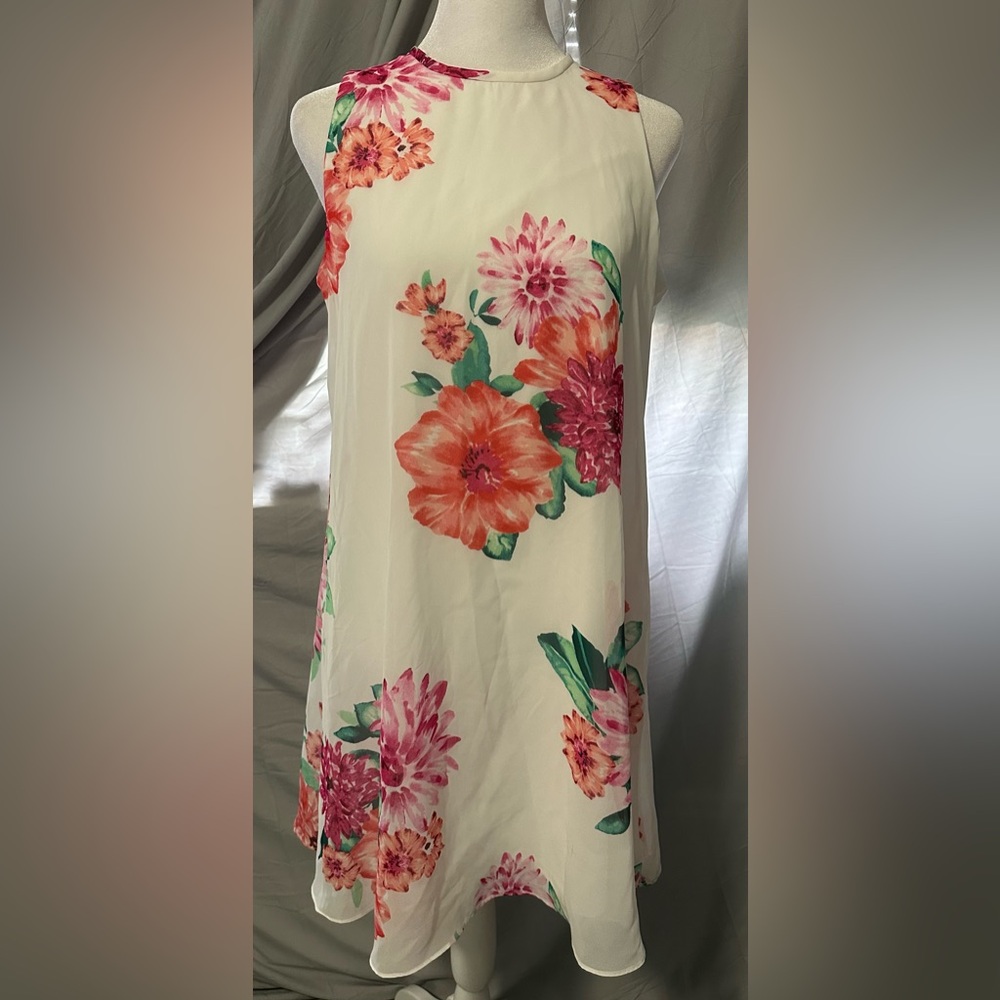 JH Chic Floral Print Lined Sleeveless Dress, Sz 6P